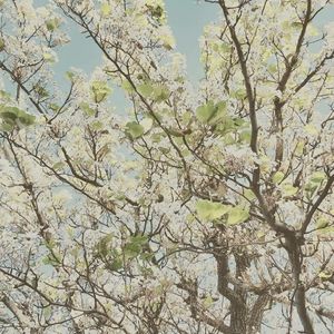 Meet your Posher, Kailey<3